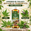 CBD WITH PATCHOULI Castile Soap