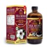 Organic Sea Moss Irish & Black Seed Oil
