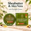 Organic Shea Butter & Aloe Vera Lip Balm with Pineapple Extracts