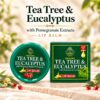 Organic Tea Tree & Eucalyptus Lip Balm with Pomegranate Extracts